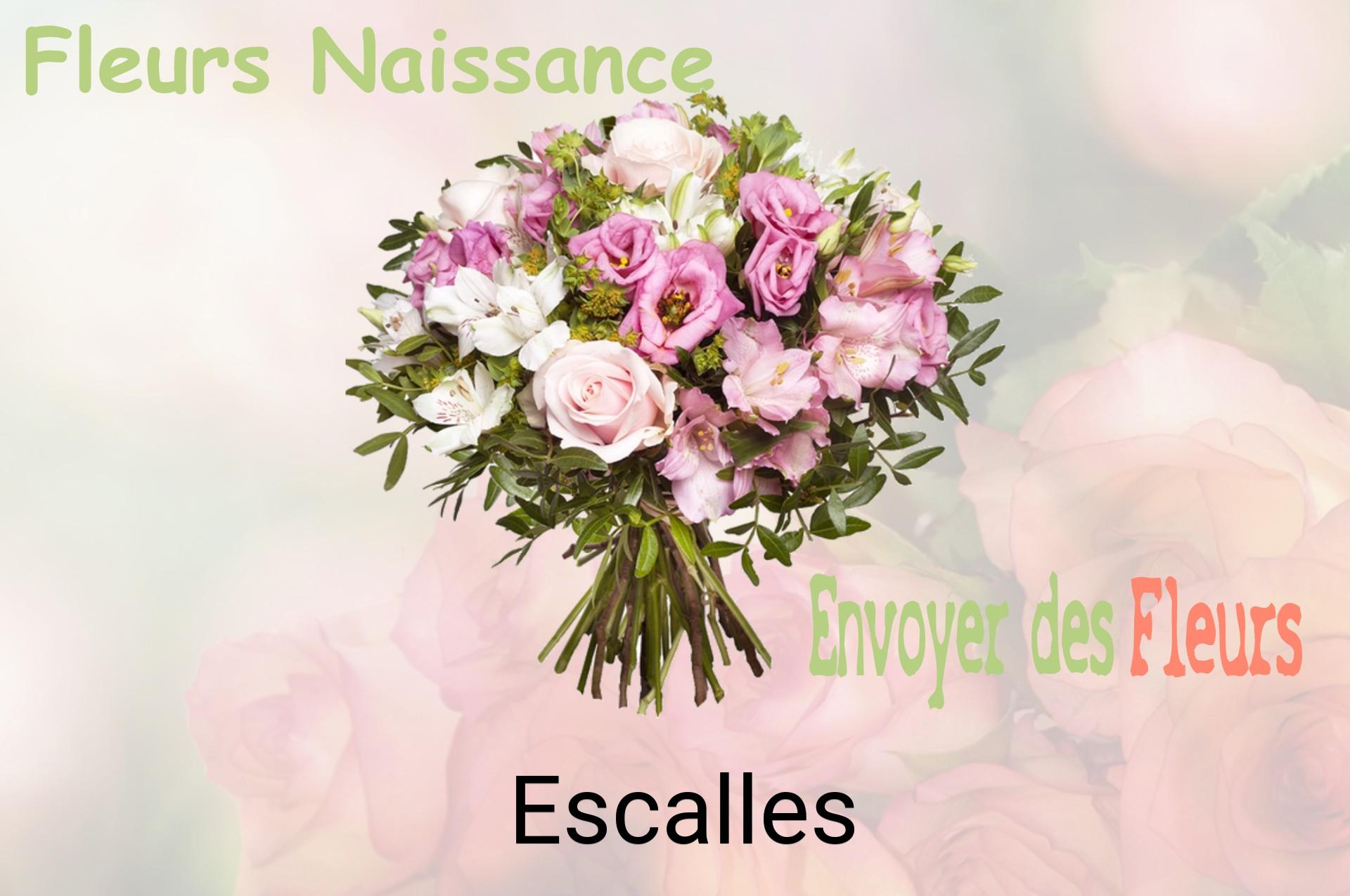 Bouquet de fleurs de naissance livré à Escalles